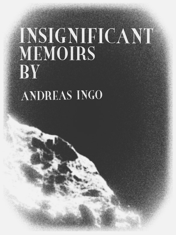Insignificant - Memoirs
